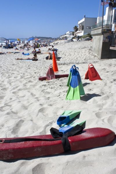 Flippers in the sand